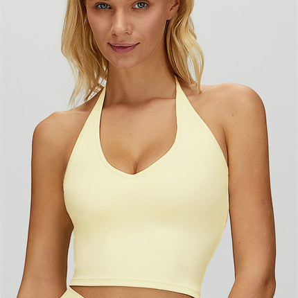 The Dreamy Halter Crop Top