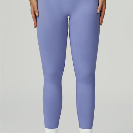 The Prime Line Crop Top Leggings 2-Piece Set