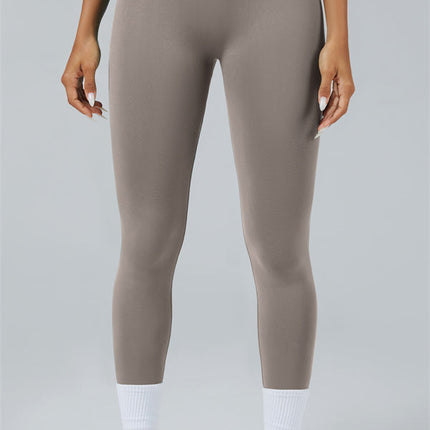 The Elevate New Long Sleeve Crop top Leggings 2-Piece Set