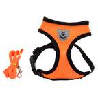 Orange / S