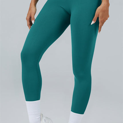 The Elevate New Leggings