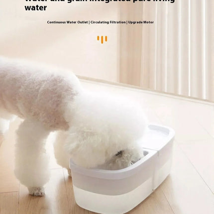 2-in-1 Automatic Water Dispenser & Food Pet Bowl