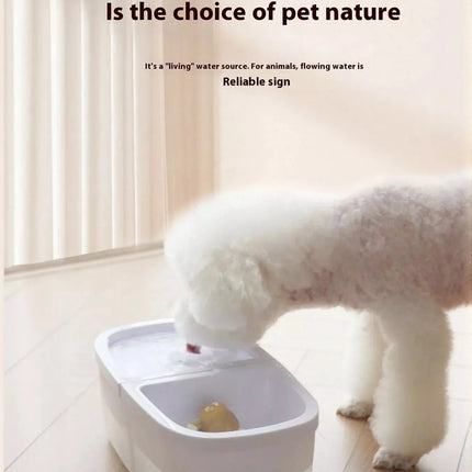 2-in-1 Automatic Water Dispenser & Food Pet Bowl