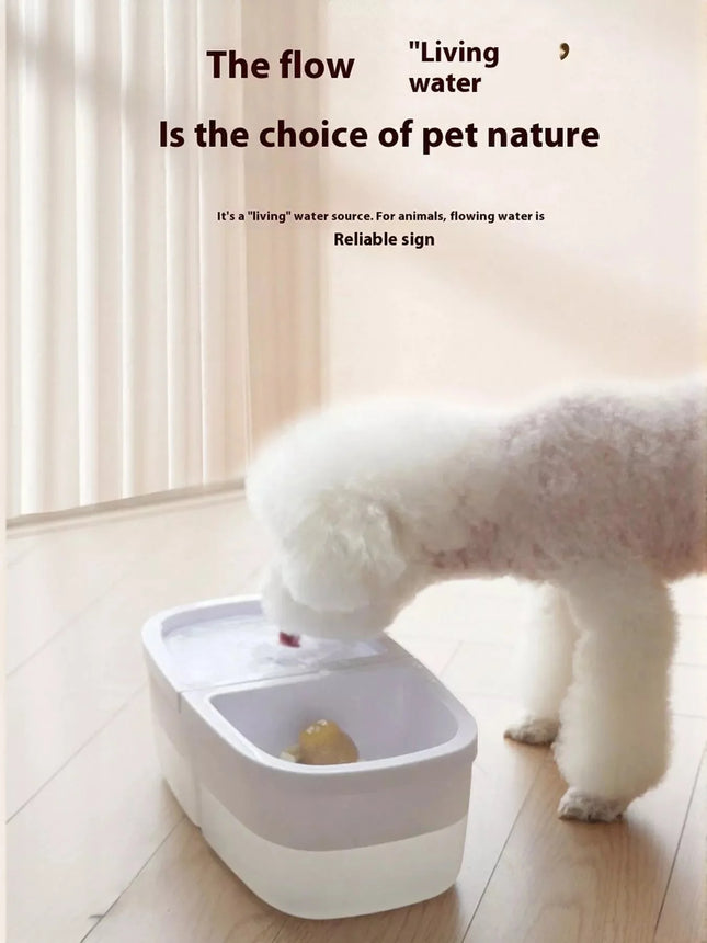 2-in-1 Automatic Water Dispenser & Food Pet Bowl