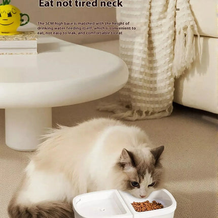 2-in-1 Automatic Water Dispenser & Food Pet Bowl