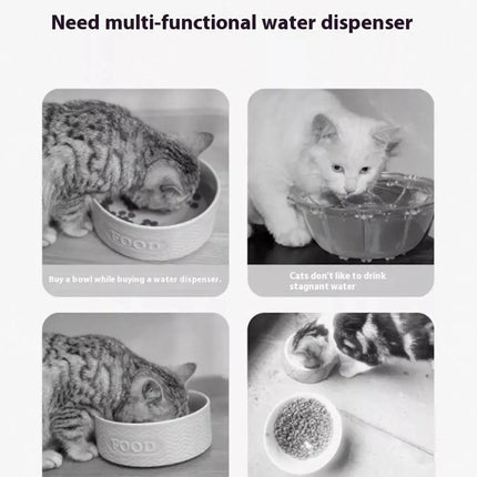 2-in-1 Automatic Water Dispenser & Food Pet Bowl