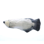 Silver arowana / 30cm