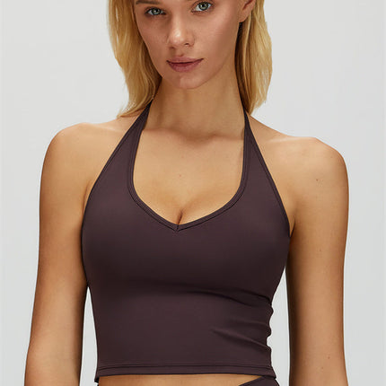 The Dreamy Halter Crop Top