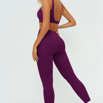 The Lushness V-Back Sports Bra Leggings 2-Piece Set