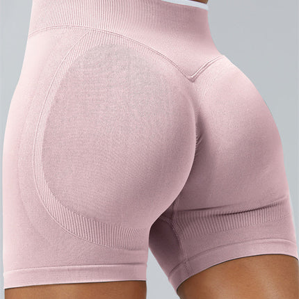 The Elevate Sports Bra Shorts 2-Piece Set