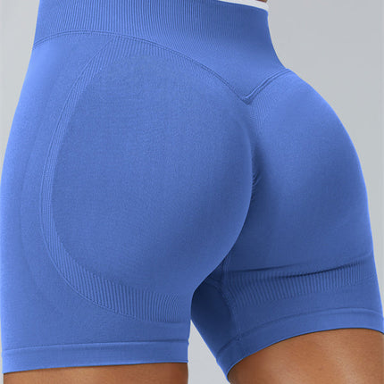 The Elevate New Shorts