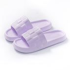 36to37 / A743 Purple