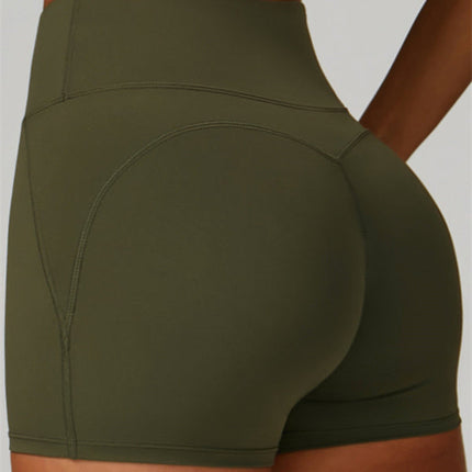 The Bold Shorts