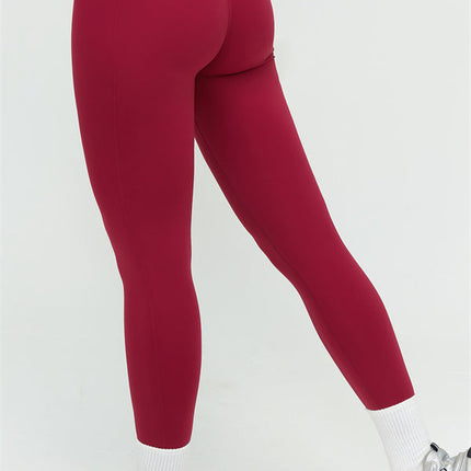 The Lushness Long Sleeve Crop top Leggings 2-Piece Set