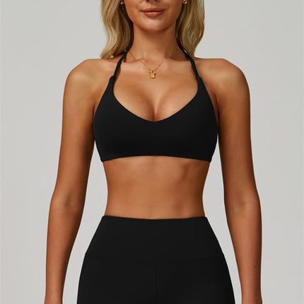 The Bold Shorts