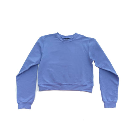AA Blue Sweatshirt