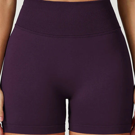 The Elara Sports Bra Shorts 2-Piece Set