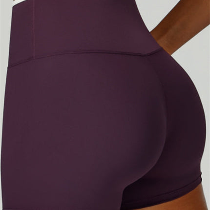 The Quest Sports Bra Shorts 2-Piece Set