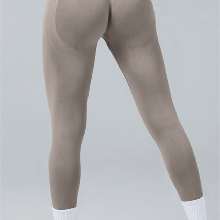 The Elevate New Long Sleeve Crop top Leggings 2-Piece Set