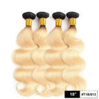 T1B/613 / Remy Hair