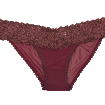 Mesh and Lace Classic Cheeky XS-2X - Buy More Save More