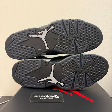 NEW Jordan 6 Retro Cap and Gown IR2266-010