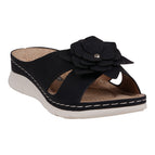 Black / 6