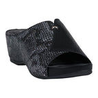 Black / 6