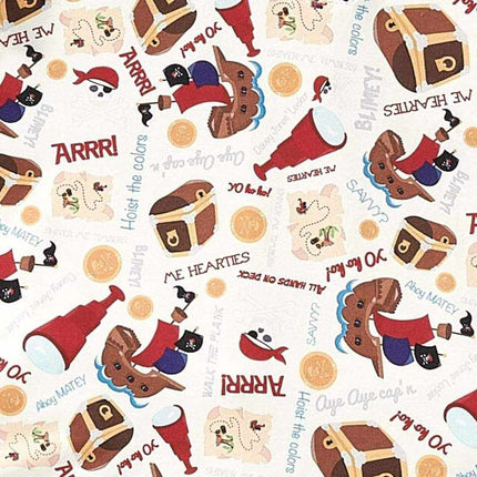 Minky Blanket - Buried Treasure