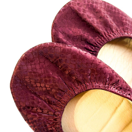 Garnet Snakes