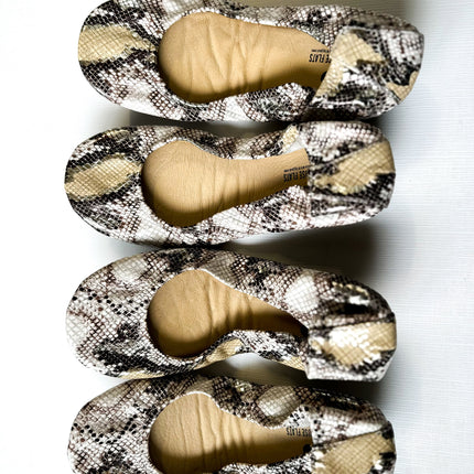 Desert Snake