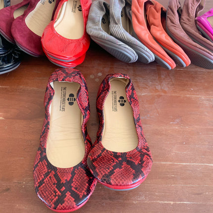 Crimson Red Snakes