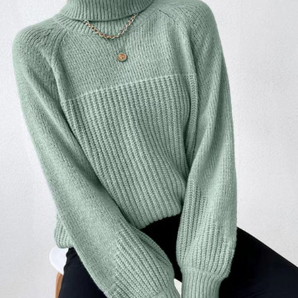 Knit turtleneck sweater