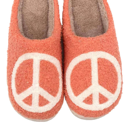 Novelty Slippers