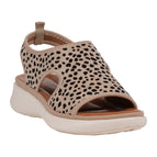 Leopard / 6