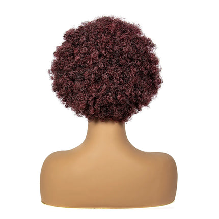 Burgundy Afro Curly Braids Bob Wig | 13x6 Lace | Baby Hair | Bouncy Curls
