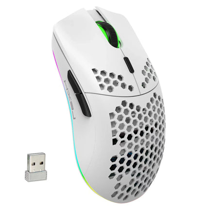 HXSJ T66 RGB 2.4G Wireless Gaming Mouse RGB