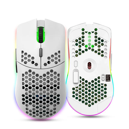 HXSJ T66 RGB 2.4G Wireless Gaming Mouse RGB