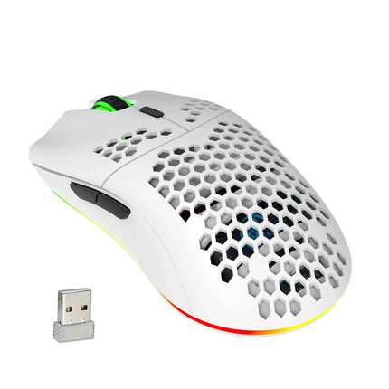 HXSJ T66 RGB 2.4G Wireless Gaming Mouse RGB