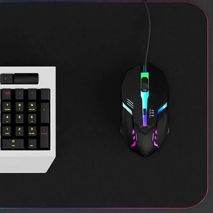 2025 Latest High-Quality Ergonomic Gaming Mouse for Desktop and Laptop Computers,4-Button USB RGB Backlit Mouse