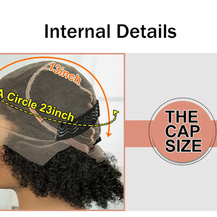 Afro Kinky Curly Cornrow Braids Wig | Transparent Full Lace | Baby Hair
