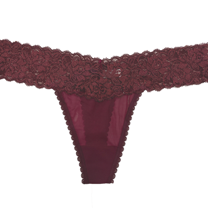Mesh and Lace Classic Thong XS- 2X - Buy More Save More