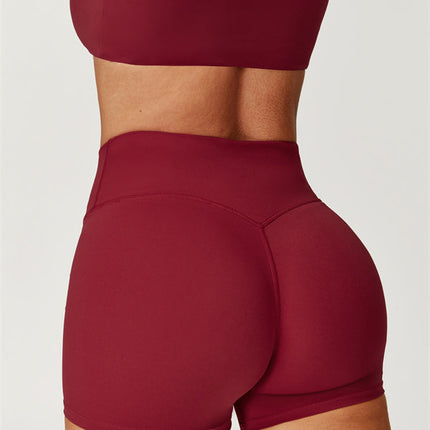 The Isabella Sports Bra Shorts 2-Piece Set