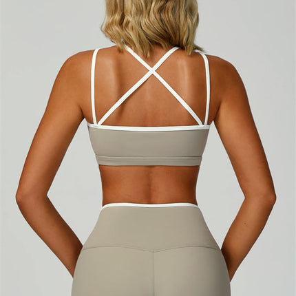 The Quest Shorts
