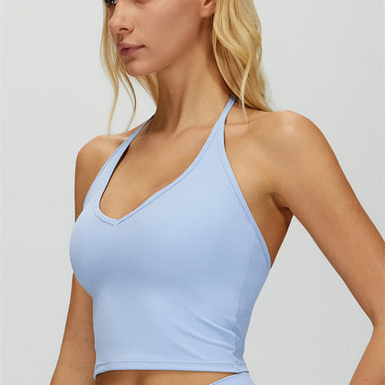 The Dreamy Halter Crop Top