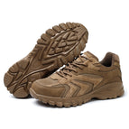FZ312 Brown / 36