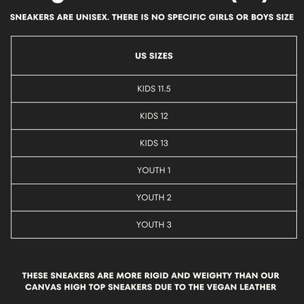K-Pop Demon Hunters Ramen | Kids & Youth Vegan Leather High Tops