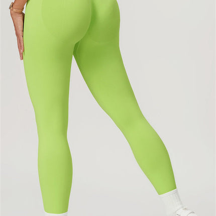 The Allure Leggings