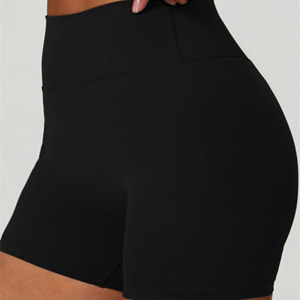 The Seraphine Sports Bra Shorts 2-Piece Set