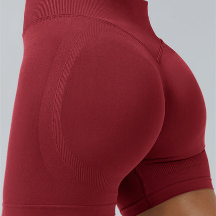 The Elevate Sports Bra Shorts 2-Piece Set